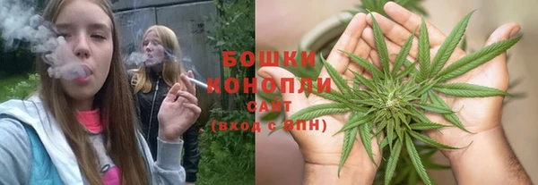 винт Аркадак