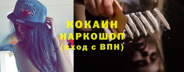 меф Арсеньев