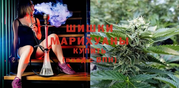 меф Арсеньев
