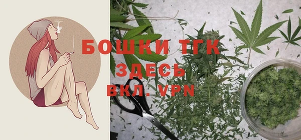 винт Аркадак