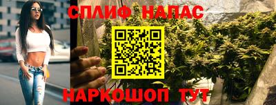 дживик Гагарин