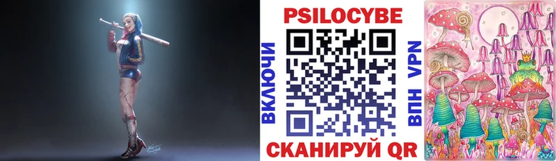 Галлюциногенные грибы Psilocybe купить наркотик Мытищи