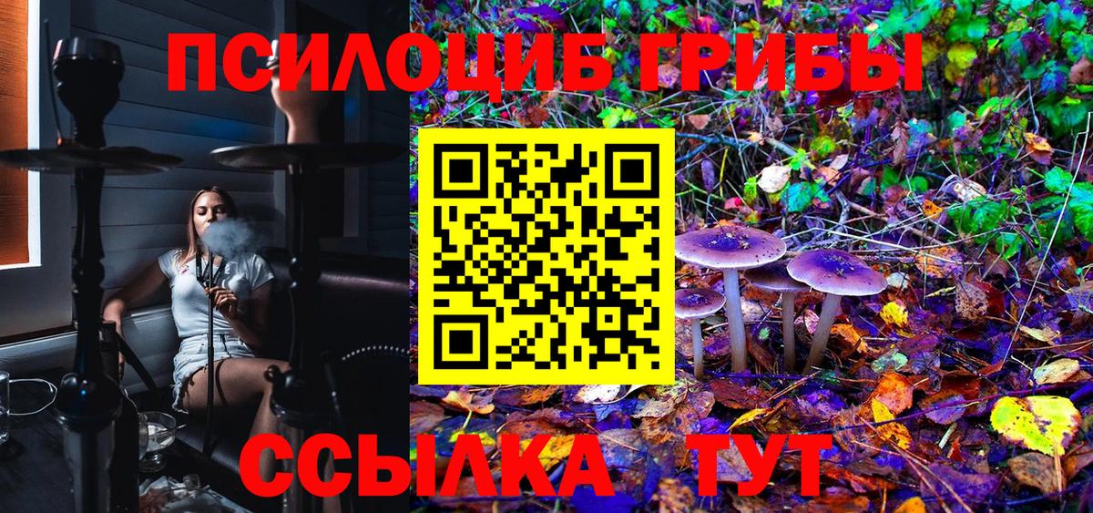 Галлюциногенные грибы MAGIC MUSHROOMS  Вход с VPN  даркнет сайт  Псилоцибиновые грибы мицелий  Мытищи 