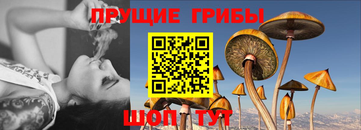 Галлюциногенные грибы ЛСД Мытищи